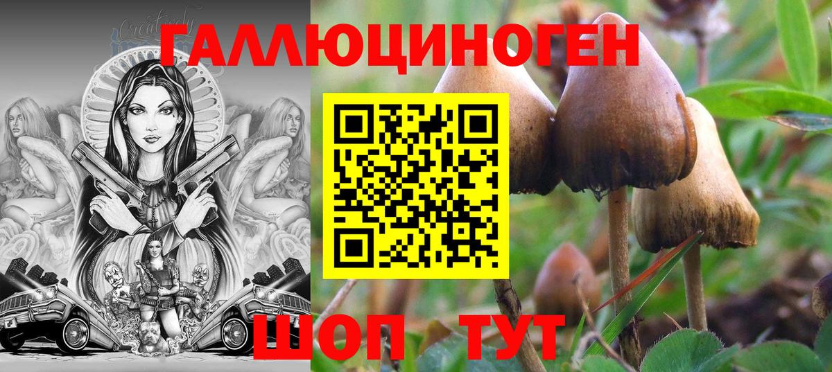 Красногорск  Псилоцибиновые грибы GOLDEN TEACHER  Вход с VPN 